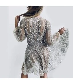 Sexy Long Sleeve Deep V Midi Dress Sheer Sequin Gowns Wholesale Dresses N5923081800028 -OTIS Clothing Shop 13356464462 985641810