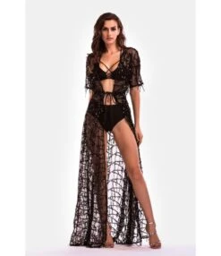 Tassel Sequins Sheered Dress