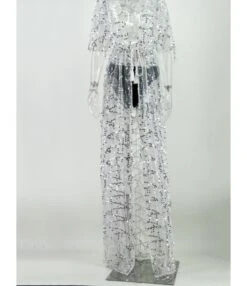 Tassel Sequins Sheered Dress -OTIS Clothing Shop 200916091 2