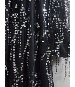 V-neck Sequins Tassel Sheered Party Dress -OTIS Clothing Shop 200916191 5