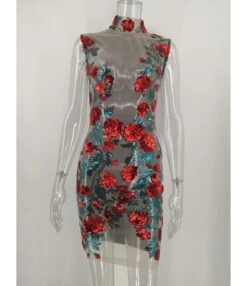Sexy Flower Embroidery Sequins Mesh Party Dress -OTIS Clothing Shop 200916552 5 1