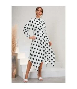 Casual Polka Dot Irregular Midi Dress Long Sleeve Slim A-Line Wholesale Dresses SDN561529 -OTIS Clothing Shop 20220803040536377