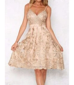 Lettuce Trim Sweetheart Collar Embroidered Lace Backless Dress 210519103